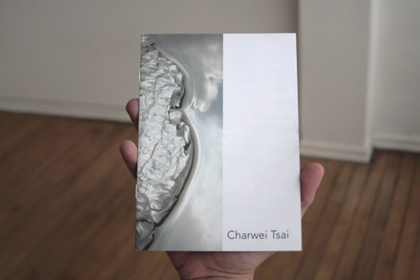 12_Casas Riegner Gallery-charwei tsia-1