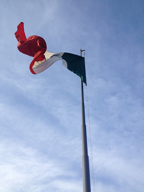 Santiago Reyes Villaveces Bandera mexico 2014-3