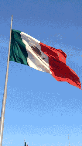 clip-bandera-Santiago-Reyes-Villaveces-480-2