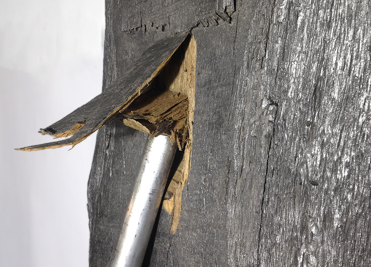 Santiago Reyes Villaveces Contra 2014 artist-3