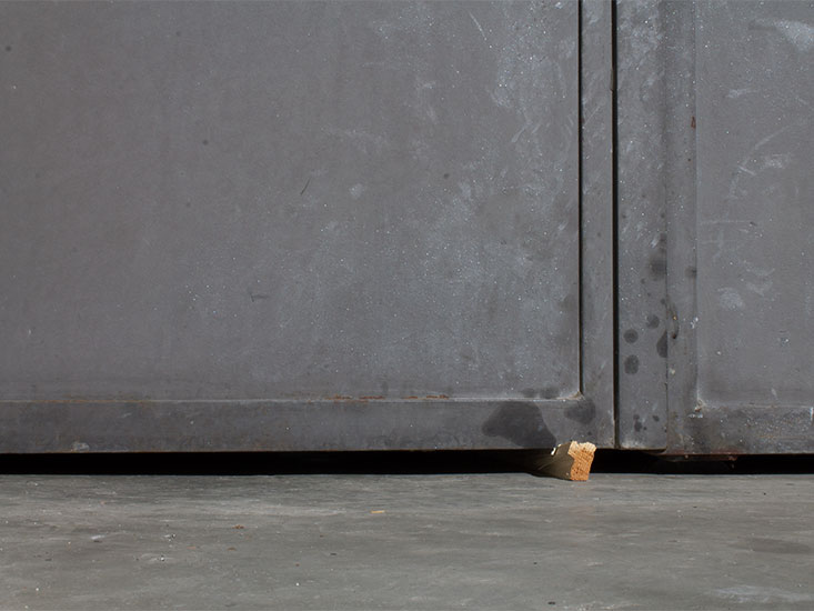 Repertorio, lambda print, 20x15cm, 1/3+PA, 2014.