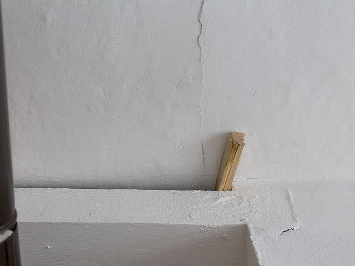 Repertorio, lambda print, 20x15cm, 1/3+PA, 2014.