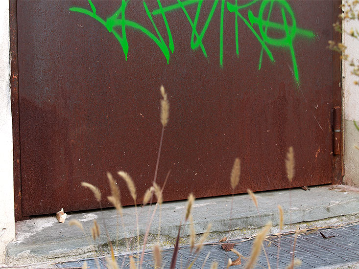 Repertorio, lambda print, 20x15cm, 1/3+PA, 2014.