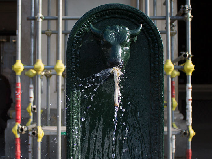 Repertorio, lambda print, 20x15cm, 1/3+PA, 2014.