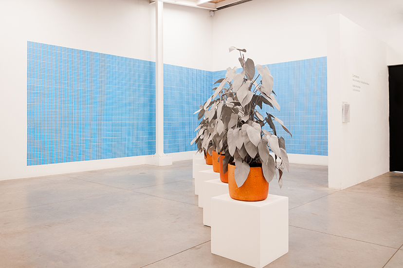 Marlon de Azambuja, Herencia, Escultura viva. Spray gris sobre planta nativa. 2015