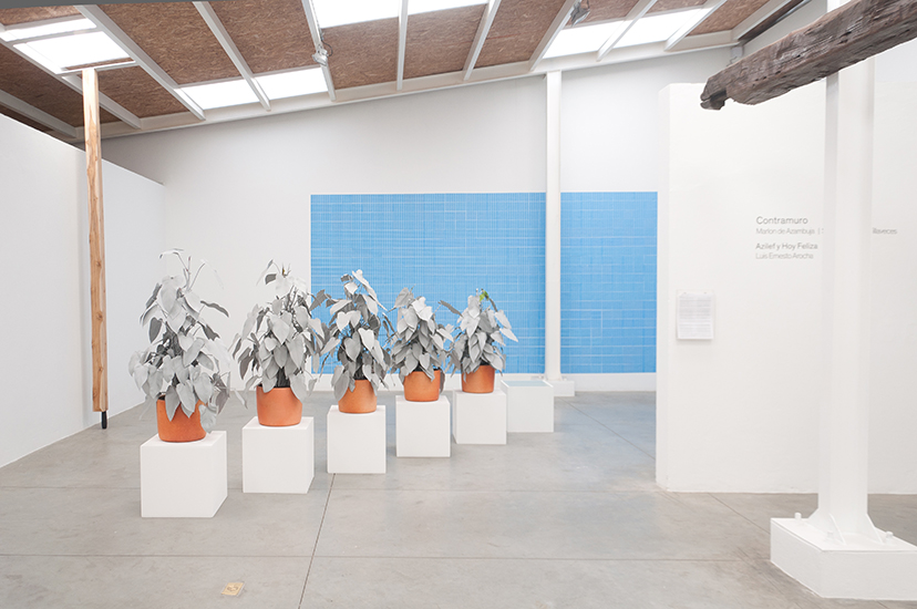 Vista general Contramuro