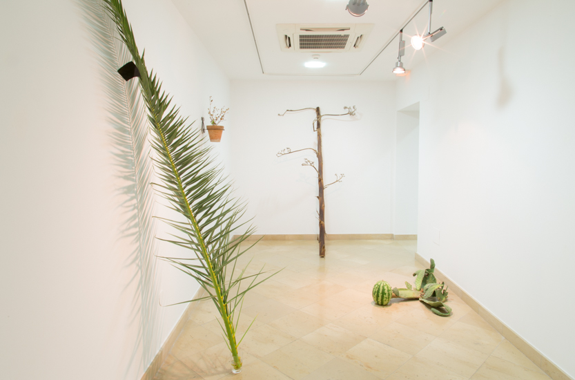 JAVIER ARCE © 2016,  MICROPOLÍTICA. INSTALLATION VIEW. EXHIBITION AT MUSEO CENTRO DE ARTE PEPE ESPALIÚ