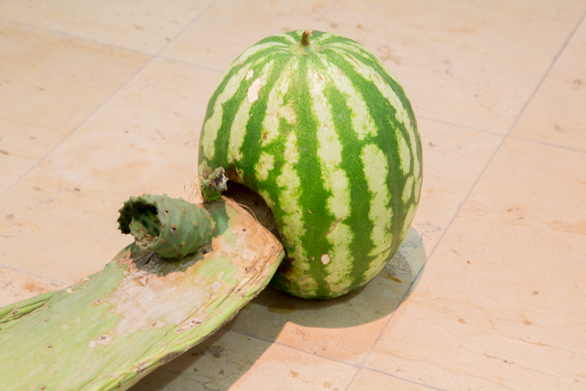 JAVIER ARCE © 2016,  MICROPOLÍTICA. INSTALLATION VIEW. EXHIBITION AT MUSEO CENTRO DE ARTE PEPE ESPALIÚ