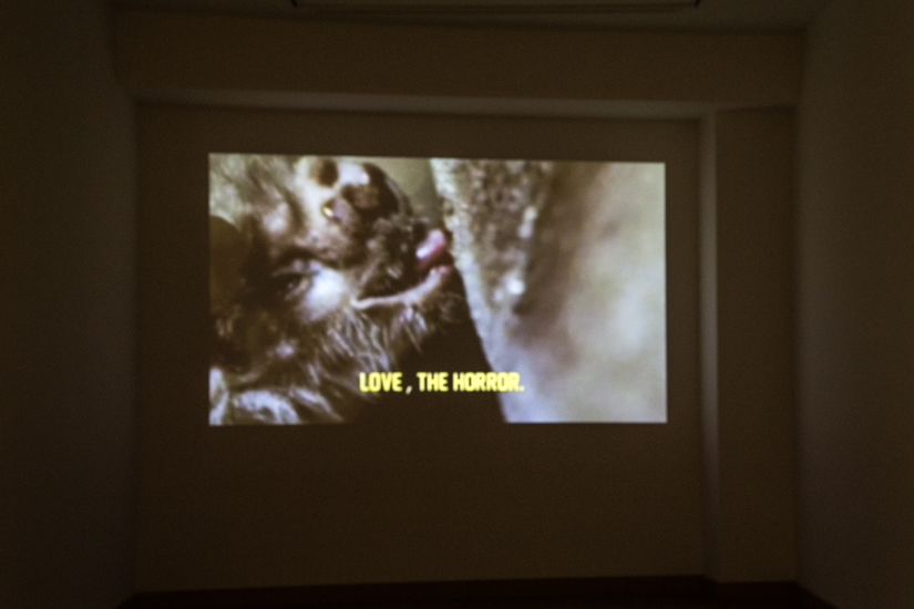 BALAM BARTOLOME © 2016, VIDEO STILL “HORROR”