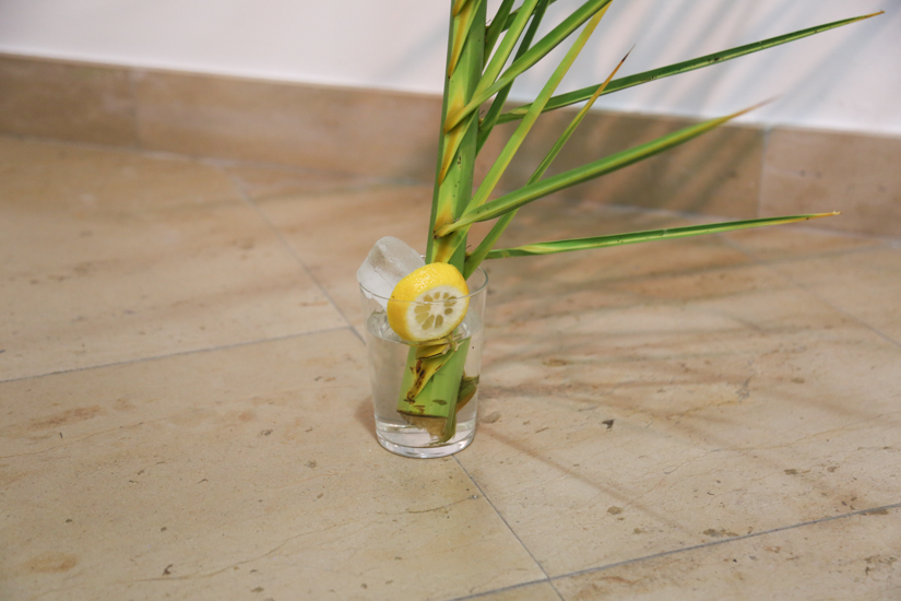 JAVIER ARCE © 2016,  MICROPOLÍTICA. INSTALLATION VIEW. EXHIBITION AT MUSEO CENTRO DE ARTE PEPE ESPALIÚ