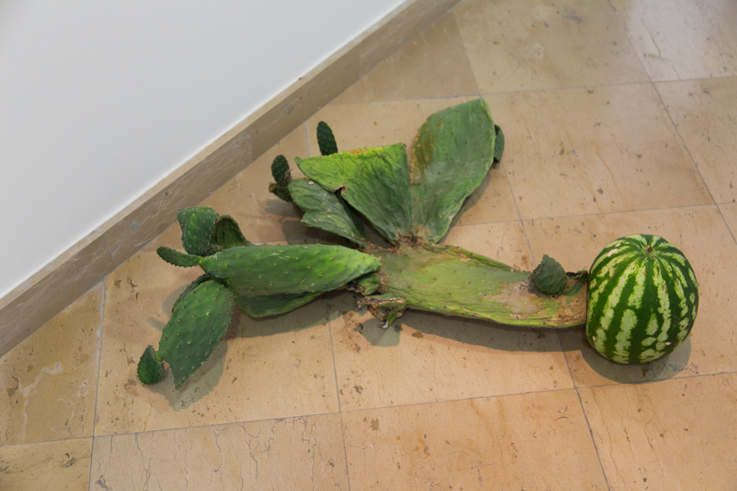 JAVIER ARCE © 2016,  MICROPOLÍTICA. INSTALLATION VIEW. EXHIBITION AT MUSEO CENTRO DE ARTE PEPE ESPALIÚ