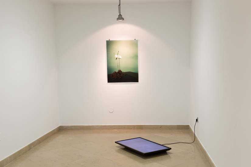 ALEJANDRO ALMANZA PEREDA © 2016,  AUTO REVERSE. CAROLINA SAQUEL  © 2016, “untitled (rushes de Antonio / Ardia 2014)” EXHIBITION AT MUSEO CENTRO DE ARTE PEPE ESPALIÚ