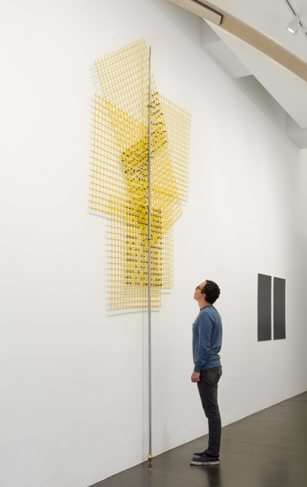 Encage (Iteration), 2017 Stainless Steel, metal mesh, metal wire and bronze 393 x 180 x 8 cm