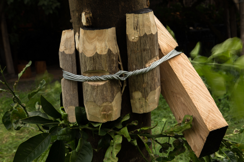 Wood (castagno selvático) metal wire and paint. 700cm x 500 cm x 500cm. Site specific Installation at Relais Regina Giovanna, Sorrento, Italy.