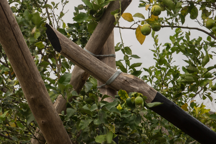 Wood (castagno selvático) metal wire and paint. 700cm x 500 cm x 500cm. Site specific Installation at Relais Regina Giovanna, Sorrento, Italy.