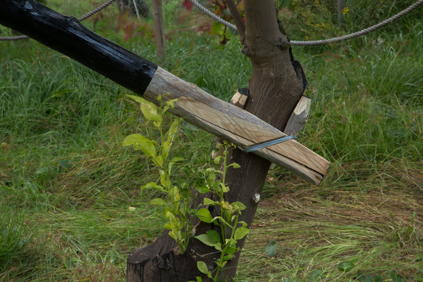 Wood (castagno selvático) metal wire and paint. 700cm x 500 cm x 500cm. Site specific Installation at Relais Regina Giovanna, Sorrento, Italy.