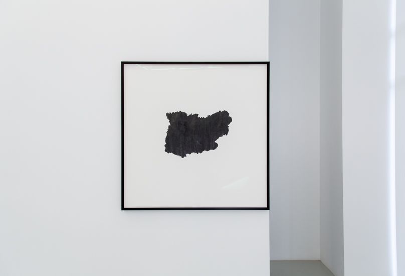 Florero de Llorente (Fundadores)	2018	Grafito sobre papel		115 cm x 115 cm