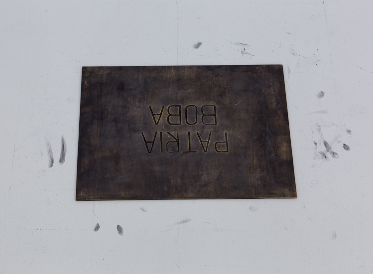 Patria Boba placa- 2018-Santiago Reyes Villaveces-web (1 of 14)