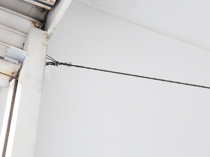 2018—Dos Pájaros de un solo tiro