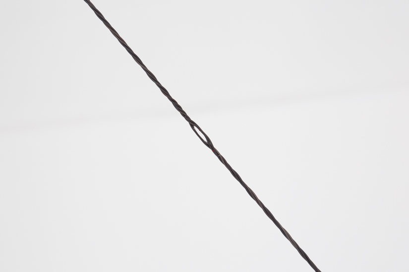 2018—Dos Pájaros de un solo tiro