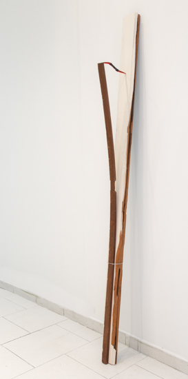 2018—Dos Pájaros de un solo tiro