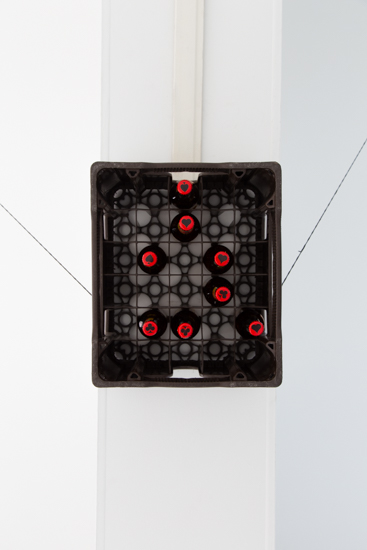 2018—Dos Pájaros de un solo tiro