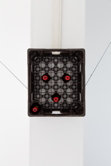 2018—Dos Pájaros de un solo tiro