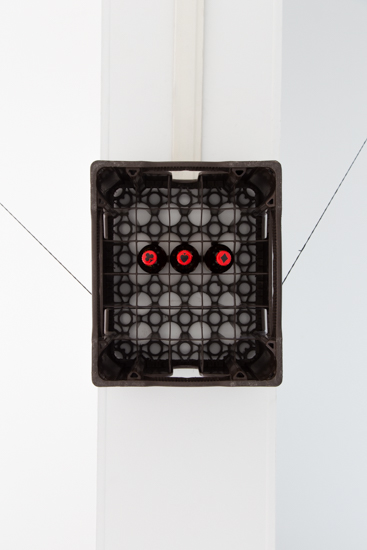 2018—Dos Pájaros de un solo tiro