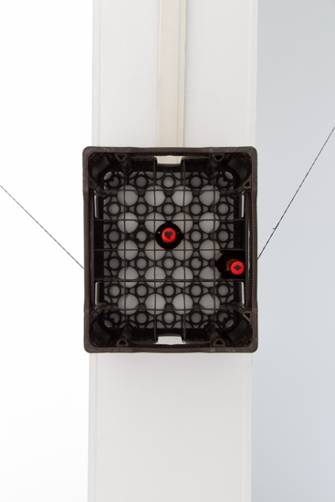 2018—Dos Pájaros de un solo tiro