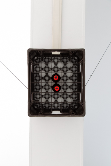 2018—Dos Pájaros de un solo tiro