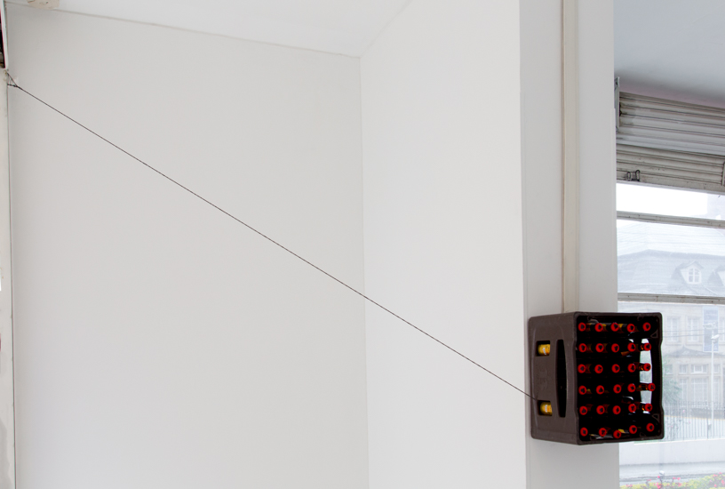 2018—Dos Pájaros de un solo tiro