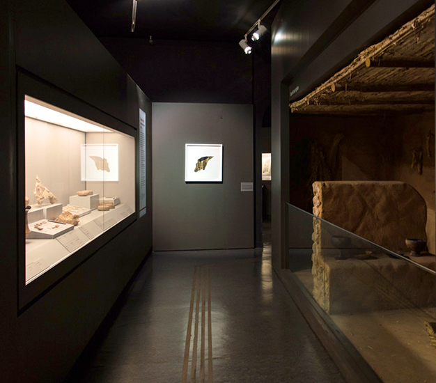 Intervención Museo de Arqueología, Murcia, Espana, 2018