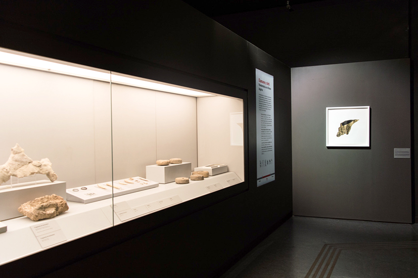 Intervención Museo de Arqueología, Murcia, Espana, 2018