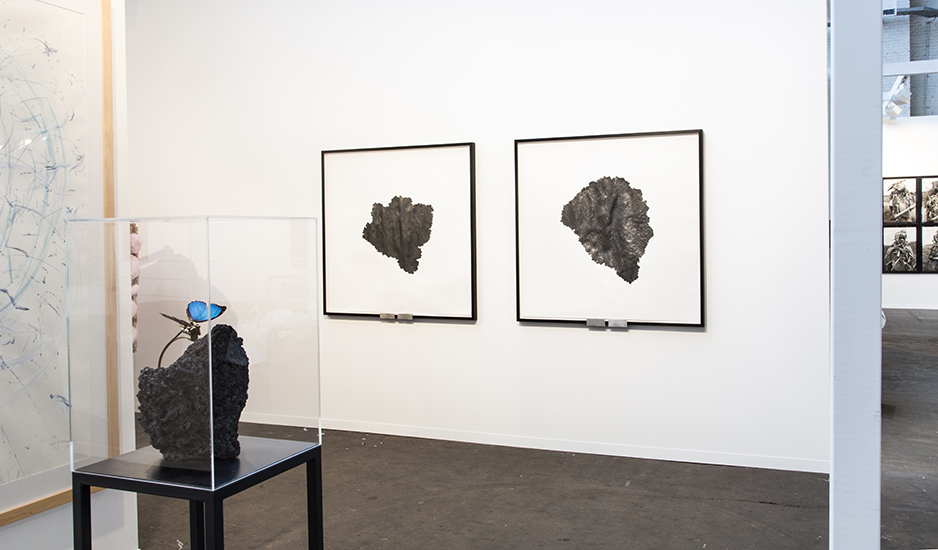 Goodwill moon rock Kingdom of Belgium, Apollo 11, rock 1 and rock 3 2018