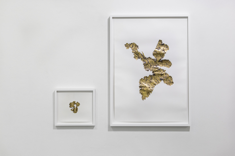 Lo bravo y lo manso-Santiago Reyes Villaveces-web (6 of 35)