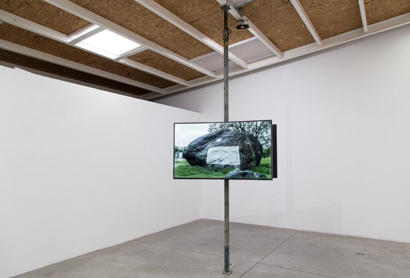 Orbita(2019) Lo bravo y lo manso-Santiago Reyes Villaveces-Instituto de Visión