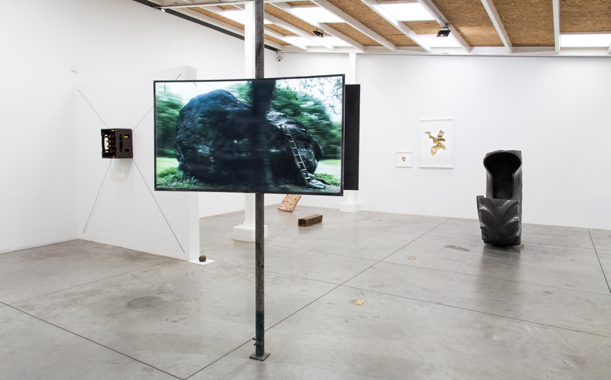 Orbita(2019) Lo bravo y lo manso-Santiago Reyes Villaveces-Instituto de Visión