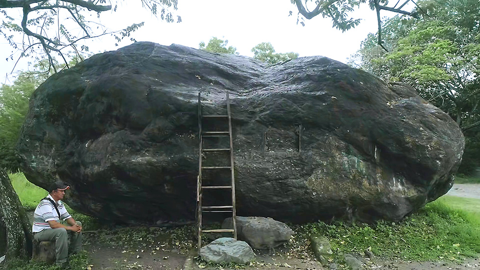 Orbita(2019) Lo bravo y lo manso-Santiago Reyes Villaveces-Instituto de Visión