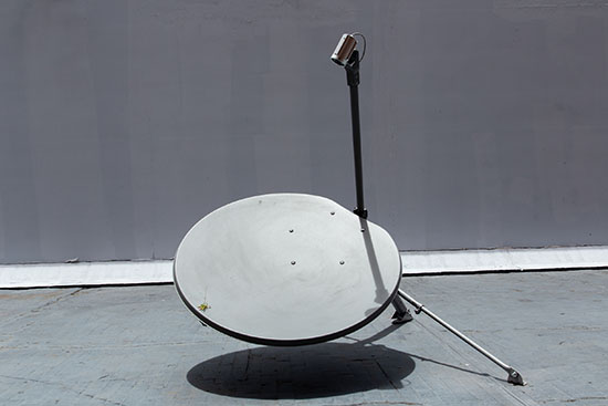 Antena  Sculpture Arabidopsis thaliana plant, security camera, satelite antena, TV screen 150 cm x 120 cm x 130 cm 2021 Ilona Jurkonytė and Santiago Reyes Villaveces