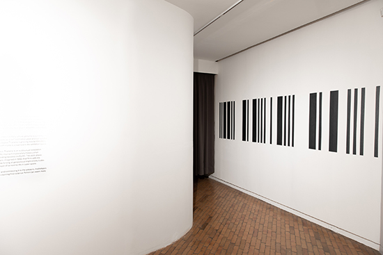 Arabidopsis Thaliana 2021-Installation shot