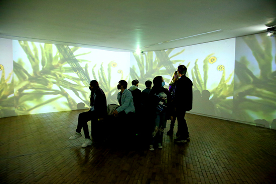 Arabidopsis Thaliana 2021-Installation shot