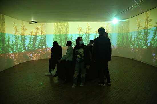 Arabidopsis Thaliana 2021-Installation shot