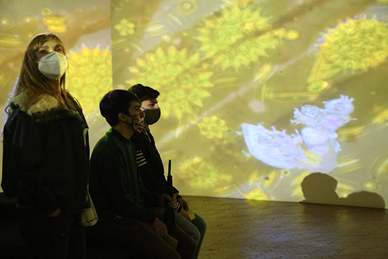 Arabidopsis Thaliana 2021-Installation shot