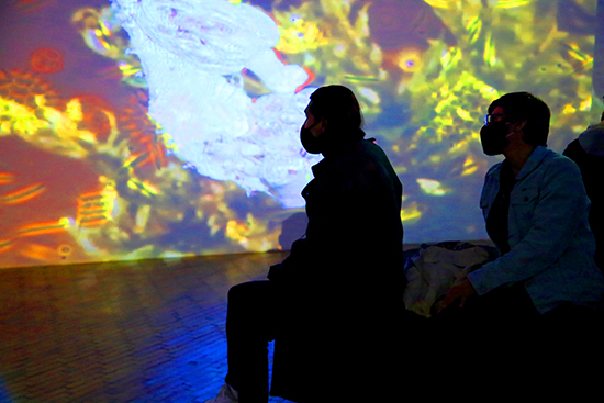 Arabidopsis Thaliana 2021-Installation shot