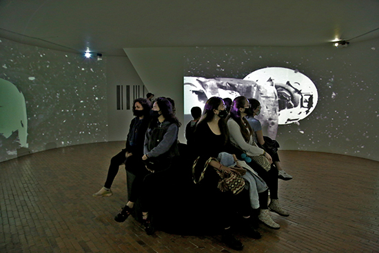 Arabidopsis Thaliana 2021-Installation shot