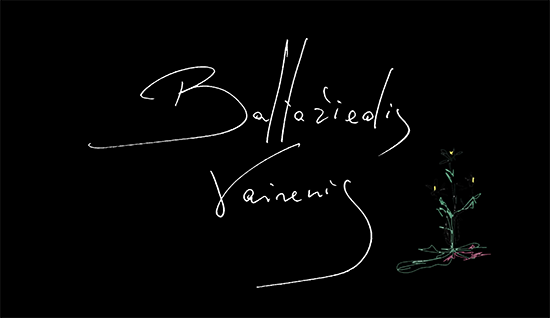 Arabidopsis Thaliana 2021-Still